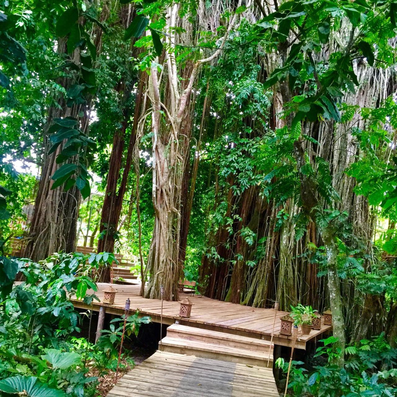 Matanivusi Beach Eco Resort Serua ภายนอก รูปภาพ